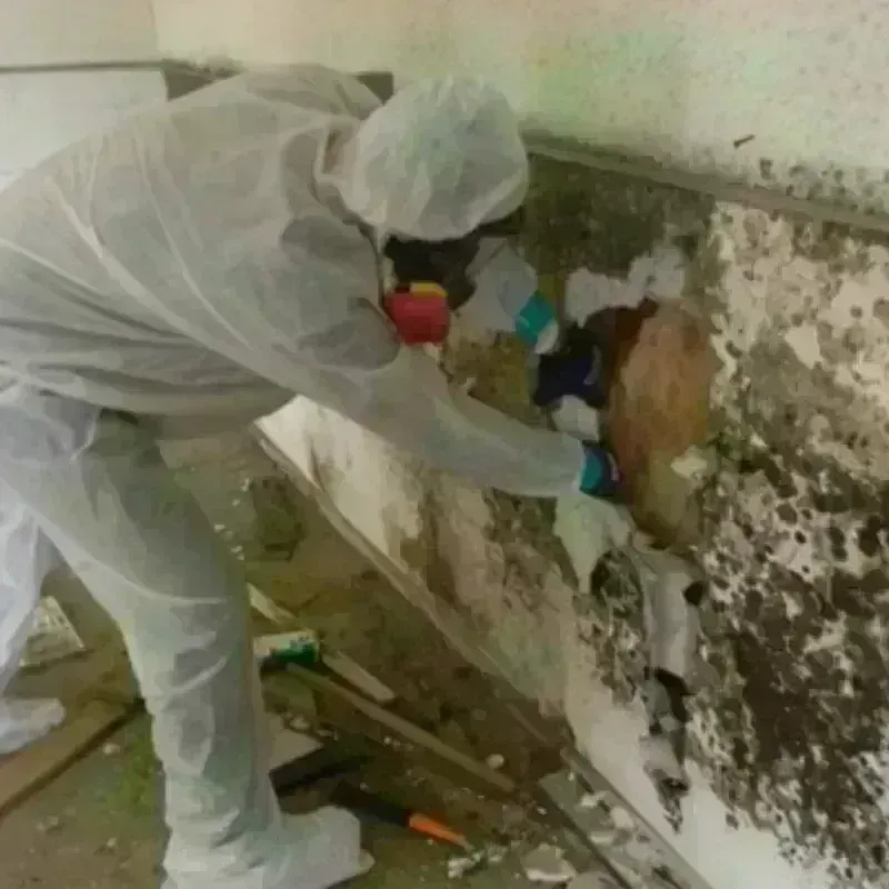 Mold Remediation and Removal in Keyport, NJ