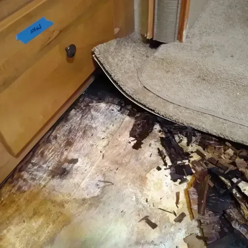 Wood Floor Water Damage in Keyport, NJ